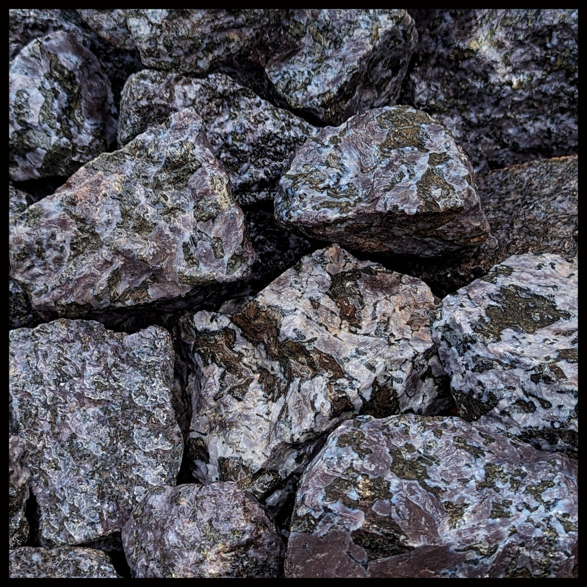 Gabbro