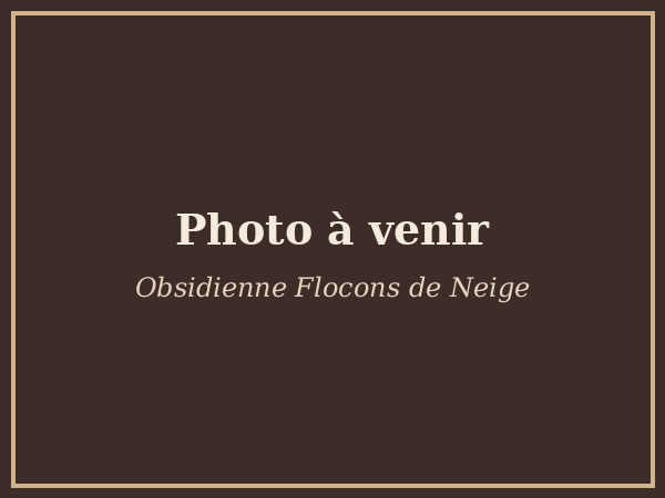 Obsidienne Flocons de Neige